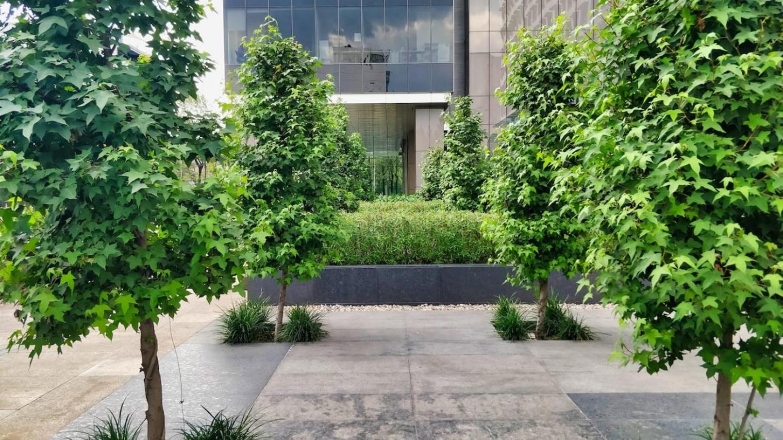 Luxurious High-Rise Hs Wifi, Amazing City Views メキシコシティ エクステリア 写真